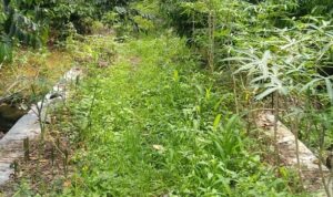 Dikonfirmasi Soal JUT, Kades Karang Dapo Atas Sebut Pekerjaan Fisik Hampir Seluruh Desa Bermasalah