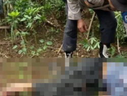 Tabrakan Motor Vs Truk di Bengkulu Utara, 1 Tewas, 3 Terluka