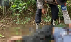 Tabrakan Motor Vs Truk di Bengkulu Utara, 1 Tewas, 3 Terluka