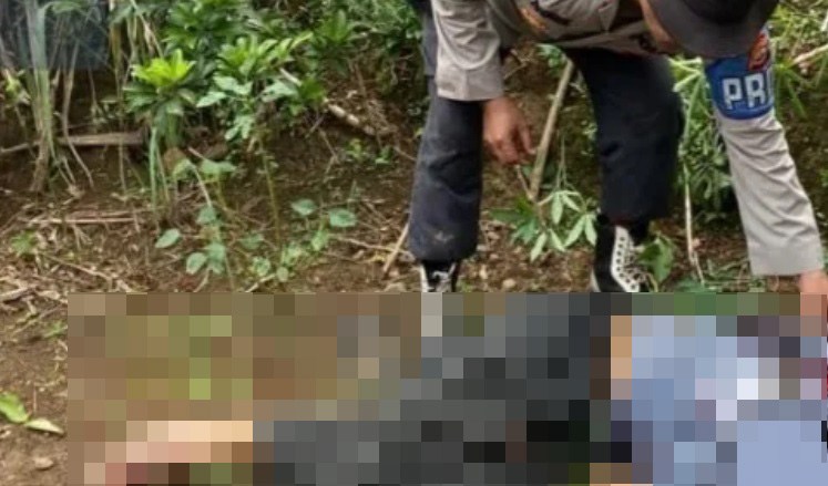 Tabrakan Motor Vs Truk di Bengkulu Utara, 1 Tewas, 3 Terluka Laka di BU Renggut Nyawa pengendara