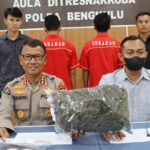 Ngaku Lelah Dagang Ayam, Dua Pria Ini Beralih Jual Ganja