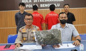 Ngaku Lelah Dagang Ayam, Dua Pria Ini Beralih Jual Ganja