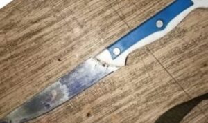 Pelajar SMK Diduga Dianiaya Wanita Muda di Bilyard Gunakan Sajam
