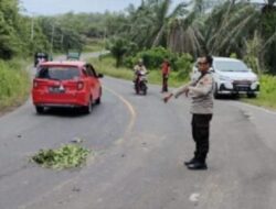 Laka Maut di Jalinbar, Siswi MTsN Bengkulu Utara Dikabarkan Meninggal di Tempat