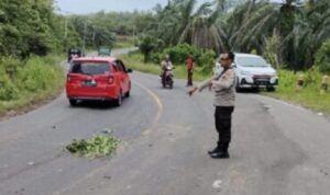 Laka Maut di Jalinbar, Siswi MTsN Bengkulu Utara Dikabarkan Meninggal di Tempat