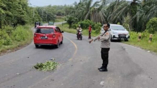 Laka Maut di Jalinbar, Siswi MTsN Bengkulu Utara Dikabarkan Meninggal di Tempat laka-tewas