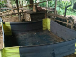 Arena Sabung Ayam di Hulu Palik Digerebek Polisi