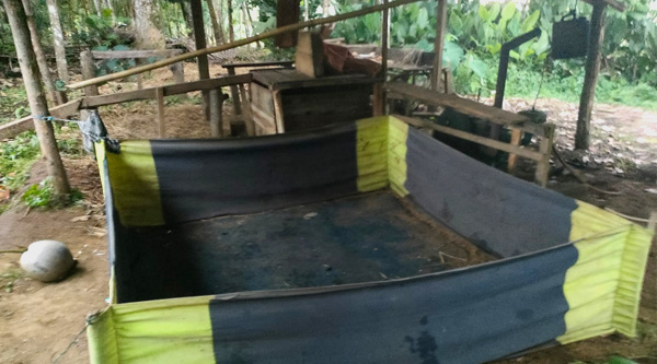 Gerebek Sabung Ayam