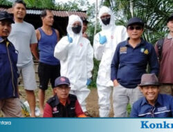 Tim Vaksinator Dinas TPHP BU Gelar Vaksinasi Hewan Ternak