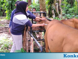 Dinas TPHP BU Gelar Pelayanan Kesehatan Hewan Terpadu di Kecamatan Kerkap