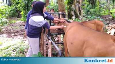 Dinas TPHP BU Gelar Pelayanan Kesehatan Hewan Terpadu di Kecamatan Kerkap