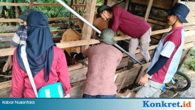 Dinas TPHP BU Berikan Pelayanan Kesehatan Hewan Terpadu di Pinang Raya