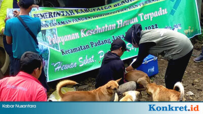 Dinas TPHP BU Gelar Pelayanan Kesehatan Hewan Terpadu di Padang Jaya