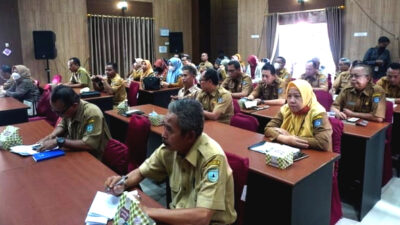 Kadis Kesehatan BU Hadiri Seminar Inovasi Daerah