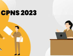 Berikut 11 Jurusan Paling Dicari Pada Tes CPNS 2023