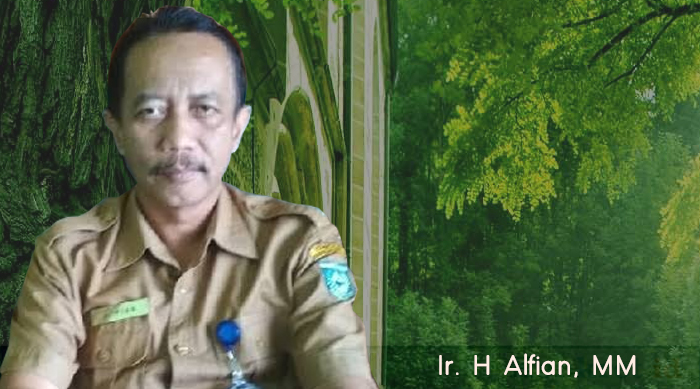 Ir Alfian, MM