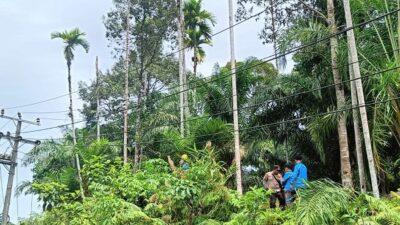 Petugas Pemeliharaan Jaringan Listrik PLN Meninggal Kesetrum