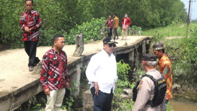 Bupati Askolani Tinjau Jembatan Rusak di Muaro Baru
