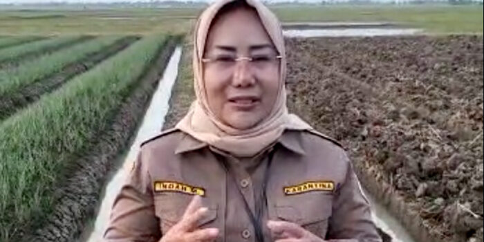 Digitalisasi untuk Meningkatkan Produktivitas dan Taraf Hidup Petani