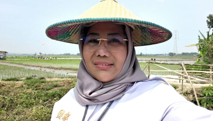 Antisipasi Krisis Pangan Akibat El Nino, Pemerintah Perkuat Ketahanan Pangan Lewat KUR