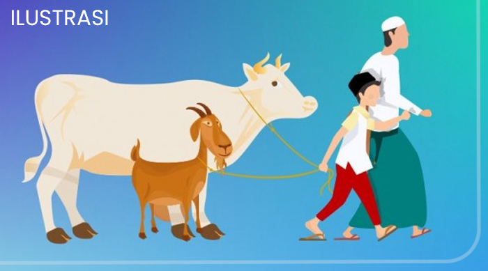 Ilustrasi hewan kurban_1