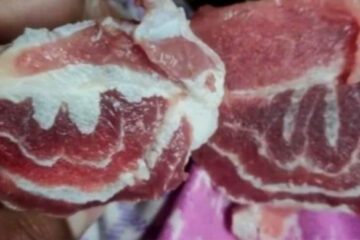Daging Kurban Berlafaz Allah di Bengkulu Utara