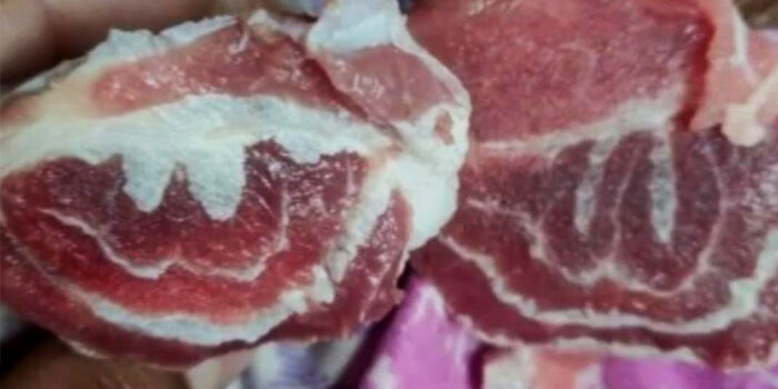 Daging Kurban Berlafaz Allah di Bengkulu Utara