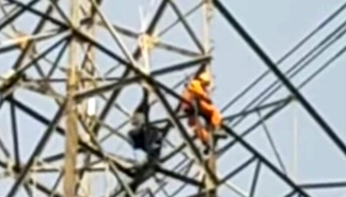 Geger, Pria 38 Tahun Nekad Panjat Menara SUTT