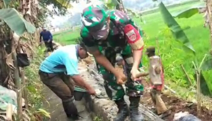 Warga Desa Kreyo Bersama Babinsa Dan Kades Perbaiki Tanggul Irigasi