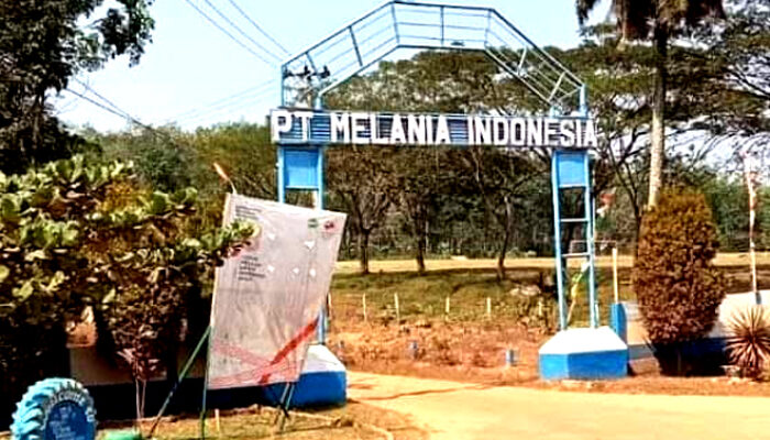 Karyawan PT Melania Indonesia Kian Menjerit, Hampir Dua Bulan Gaji Belum Dibayar