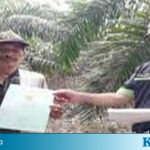 Dinas Perkebunan