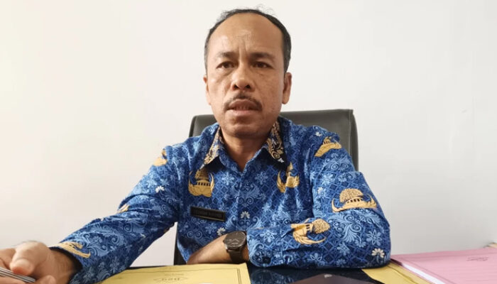 Tahun ini, 500 Lebih Pekebun di BU Ajukan Usulan Peremajaan Kelapa Sawit ke Dinas Perkebunan
