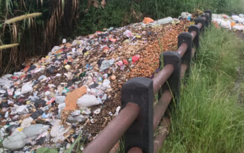 Ungkapan Kades Suro Mucar Terkait Pemeberitaan Sampah Menumpuk di Pinggir Jalan