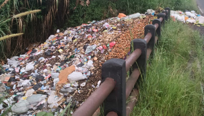 Ungkapan Kades Suro Mucar Terkait Pemeberitaan Sampah Menumpuk di Pinggir Jalan
