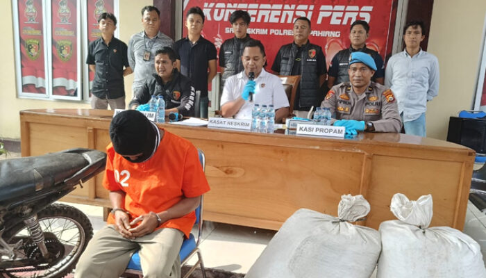 Terduga Pencuri Kopi di Kepahiang Ditangkap Polisi