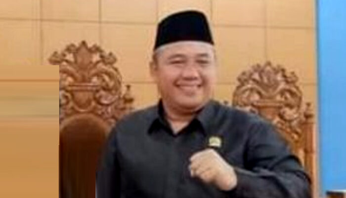 Berkat Perjuangan Dewan, Jalan Lingkungan Padat Karya Arga Makmur Dihotmix