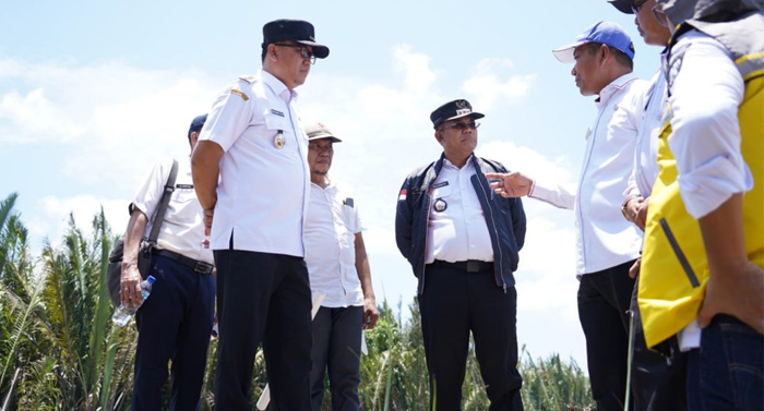 Pj. Bupati Banyuasin M. Farid Pastikan Lahan Bakal Pabrik CCO Clear Dan Clean