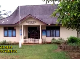 Hingga Hari ini, Insentif Kader Posyandu 2024 di Desa Talang Kemang Belum Dibayar Penuh