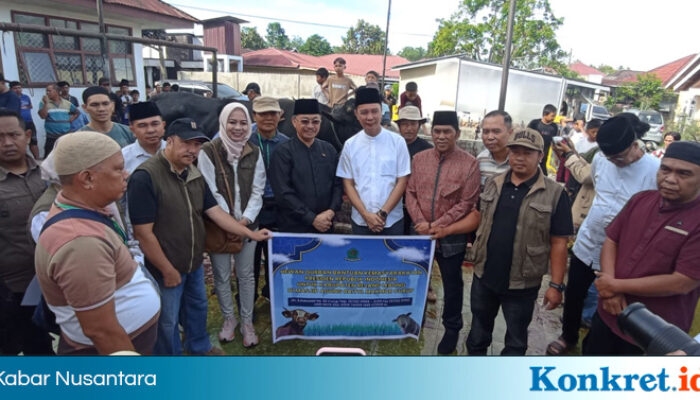 Pemkab Rejang Lebong Salurkan 24 Hewan Kurban, Termasuk dari Presiden dan Gubernur