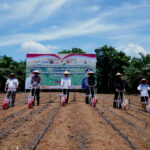 Siap Sukseskan Ketahanan Pangan Nasional, Pemkab Banyuasin Tanam Jagung Serentak Banyuasin_Penananaman Jagung Serentak