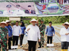 Jalin Sinergisitas, Pemkab Banyuasin Bersama Dandim Tanam Cabai