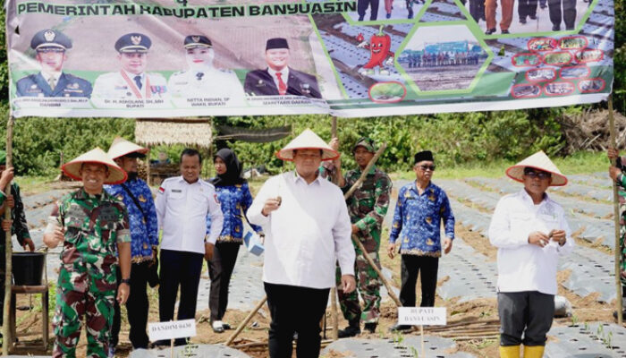 Jalin Sinergisitas, Pemkab Banyuasin Bersama Dandim Tanam Cabai