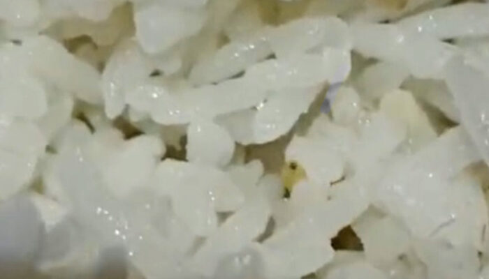 Wali Murid Mengaku Melihat Ulat Dalam Nasi MBG yang Diterima Anaknya di SMP N 1 Sembawa
