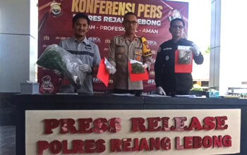 Polres Rejang Lebong Berhasil Bongkar Kebun Ganja di Pemukiman Warga