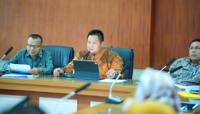Pemkab Banyuasin Rancang Skema P3K Untuk Penugasan Pada KDKMP