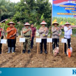 Bupati Rachmat Riyanto Hadiri Kegiatan Tanam Jagung Serentak di Pondok Kelapa Bupati Benteng Tanam Jagung