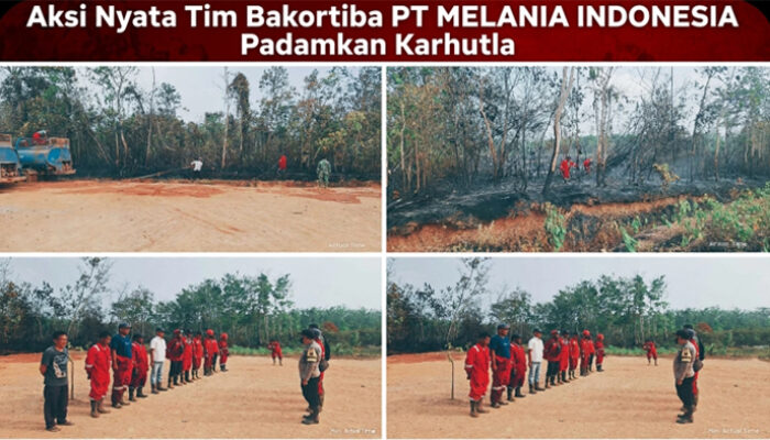 Aksi Nyata Tim Bakortiba PT Melania Indonesia Melakukan Pemadaman Karhutla di Desa Mainan